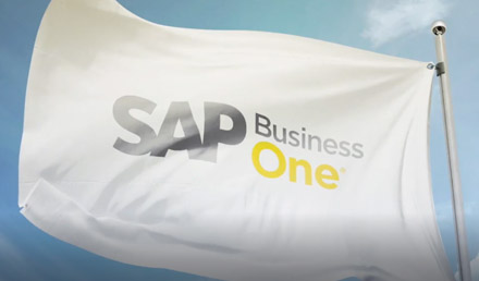 SAP 20-years-new-2018-eng-long